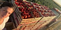 Vse se je začelo na domači njivi: Sandra razvila uspešen družinski posel, vsak paradižnik še vedno ročno pregledajo