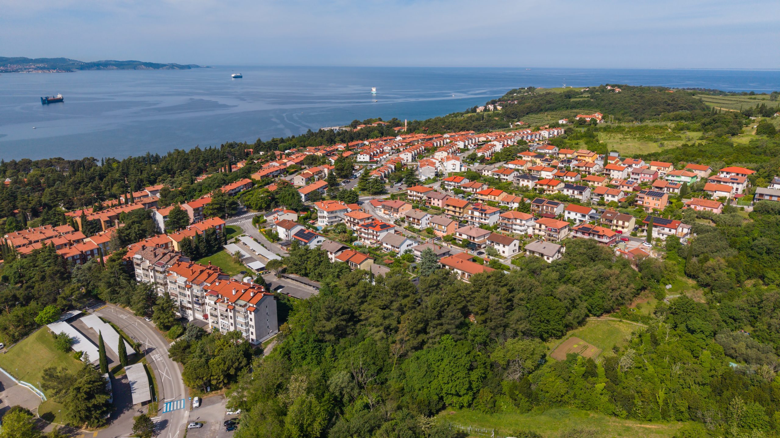 ankaran župan