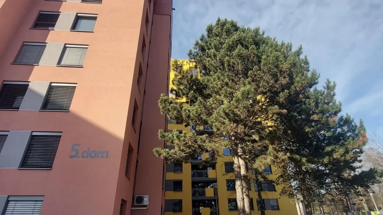 subvencionirano bivanje